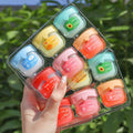 6pcs Fruity Lip Balm Gift Set